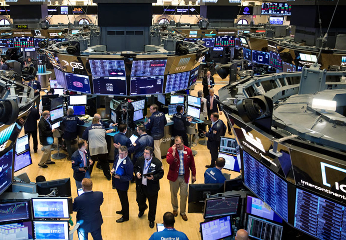 Professional Investment Analysis